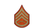  Platoon Sergeant 