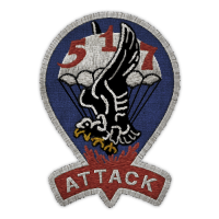 517th Parachute Regimental Combat Team